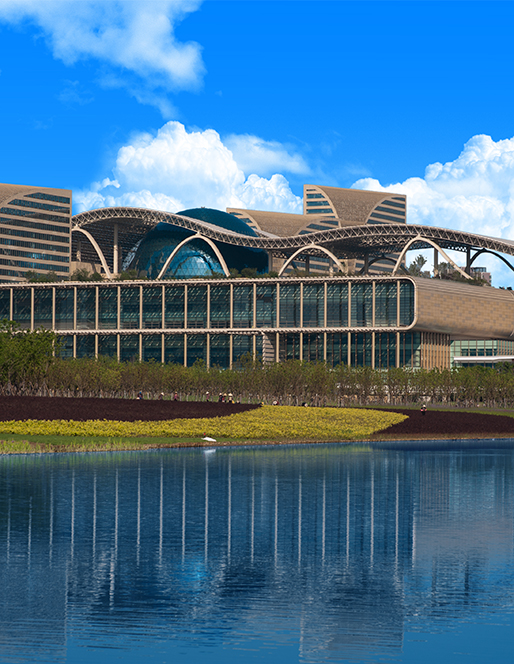 ���ݹ��ʲ�������