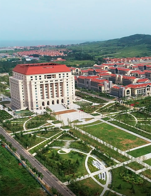 ɽ����ѧ�ൺУ��