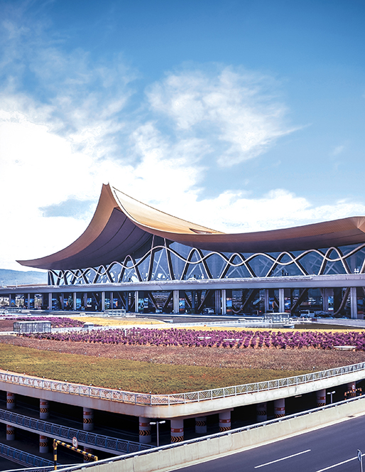 ������ˮ���ʻ���