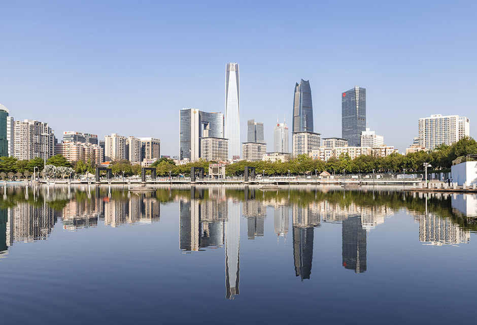 ����SOM�޽����������